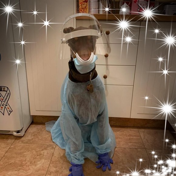 dobieblue